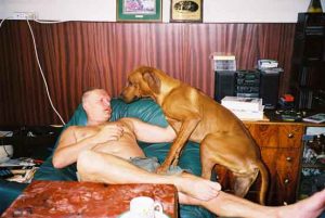 Am liebsten wär ich ein Schoßhund